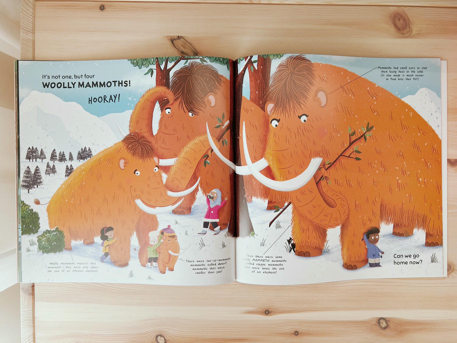 We Went to Find a Woolly Mammoth