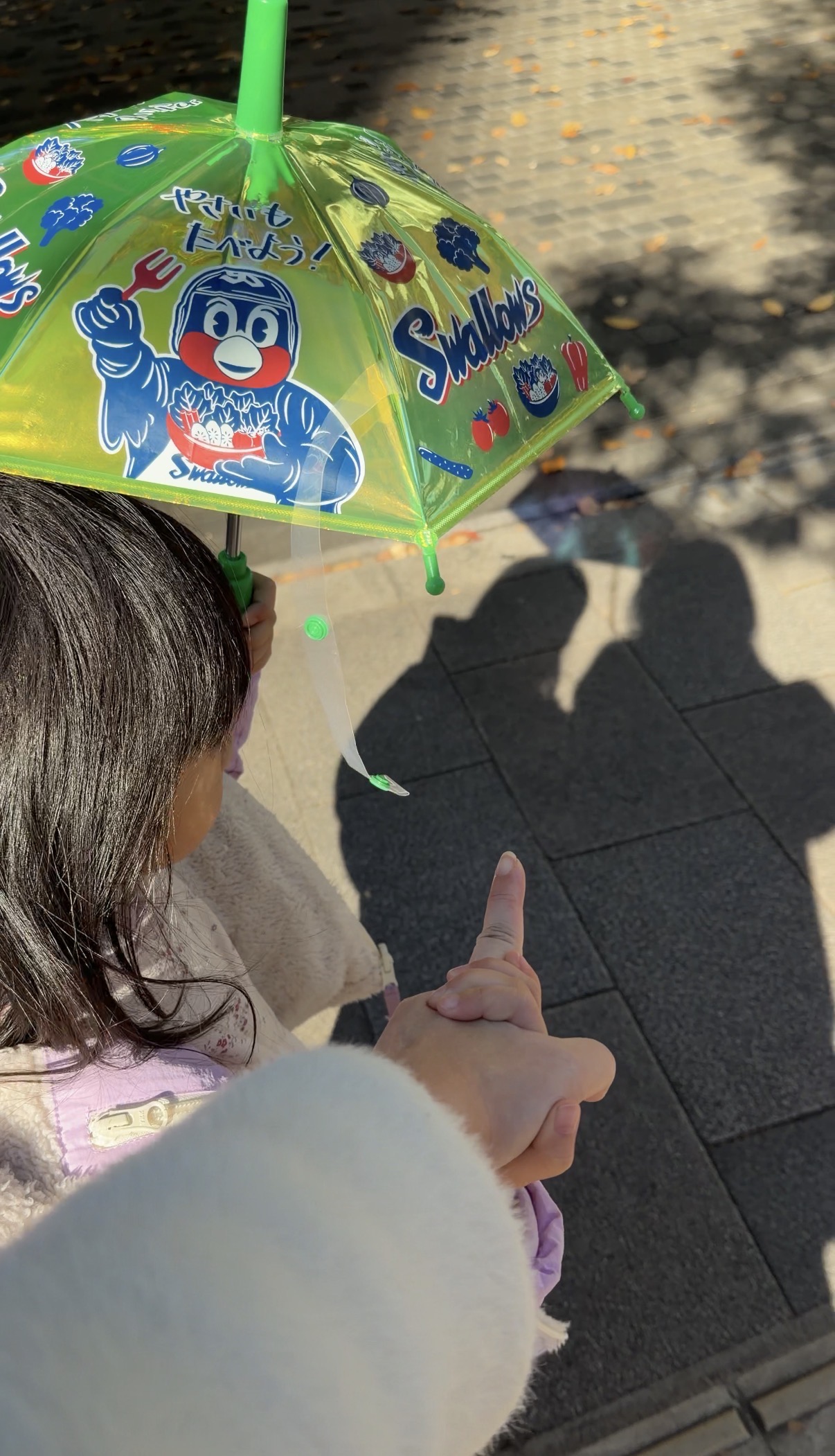 那把養樂多燕子隊的傘：練習成為不掃興的大人