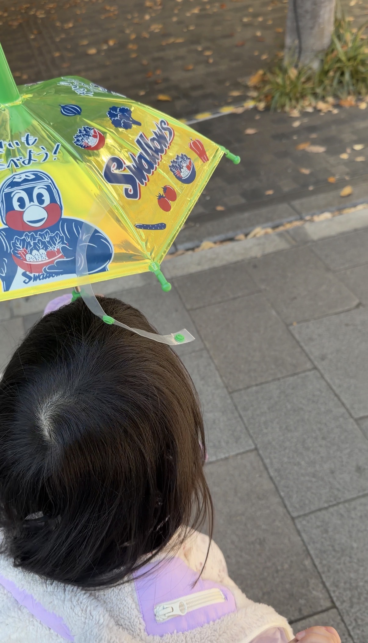 那把養樂多燕子隊的傘：練習成為不掃興的大人